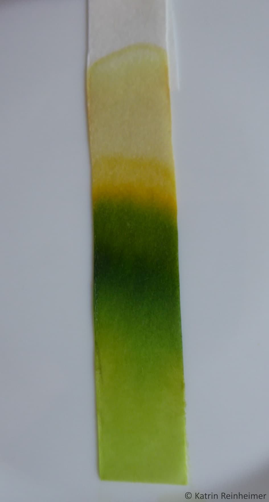 Je länger du wartest, desto intensiver wird die Farbe. Je länger du wartest, desto intensiver wird die Farbe.