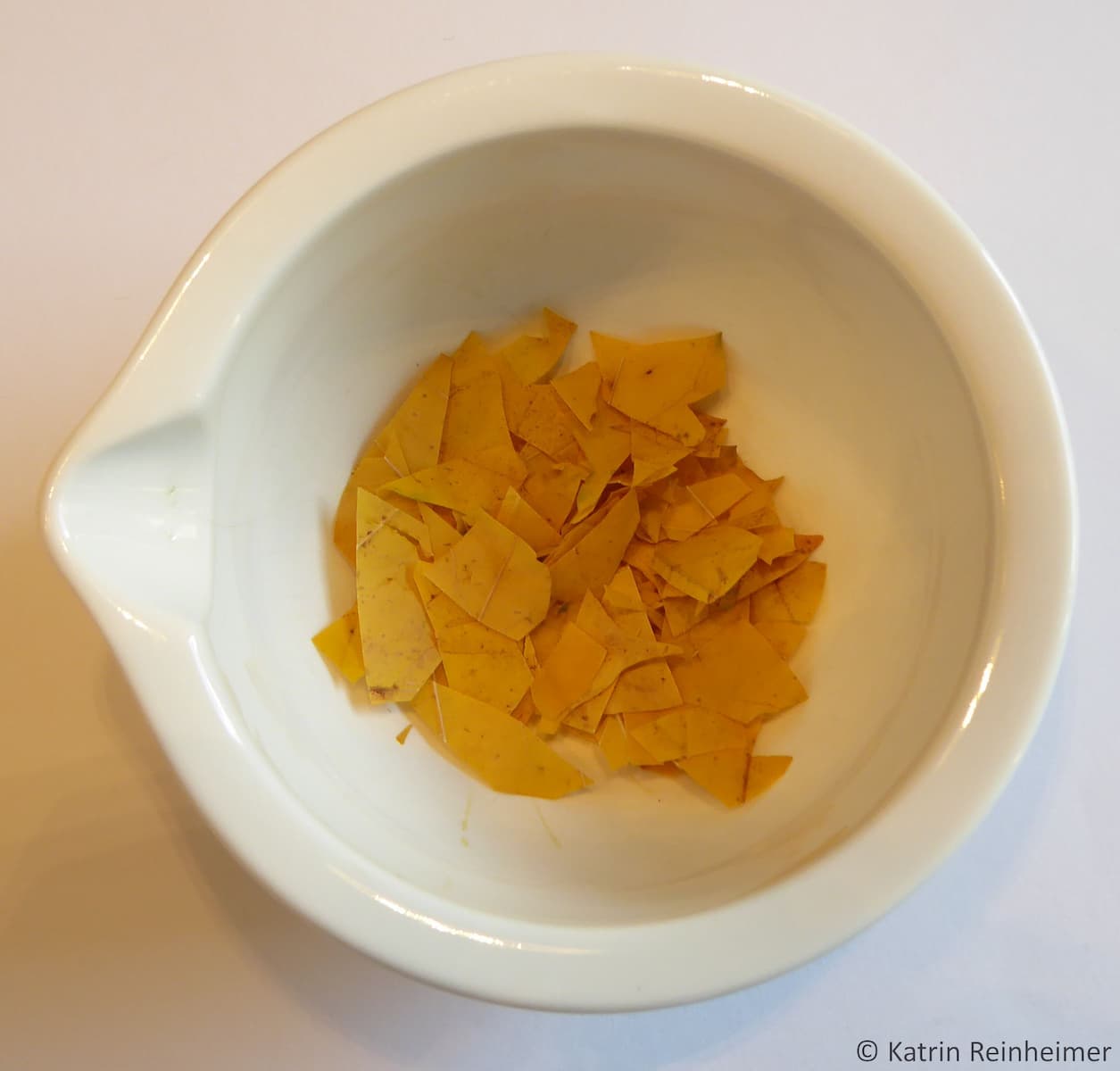 Das Experiment mit gelben Blättern Das Experiment mit gelben Blättern.