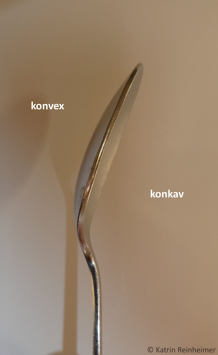 Gewölbte Flächen am Löffel: Links konvex, rechts konkav