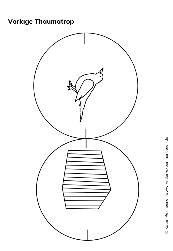 Vorlage für ein Thaumatrop mit Vogel und Käfig.