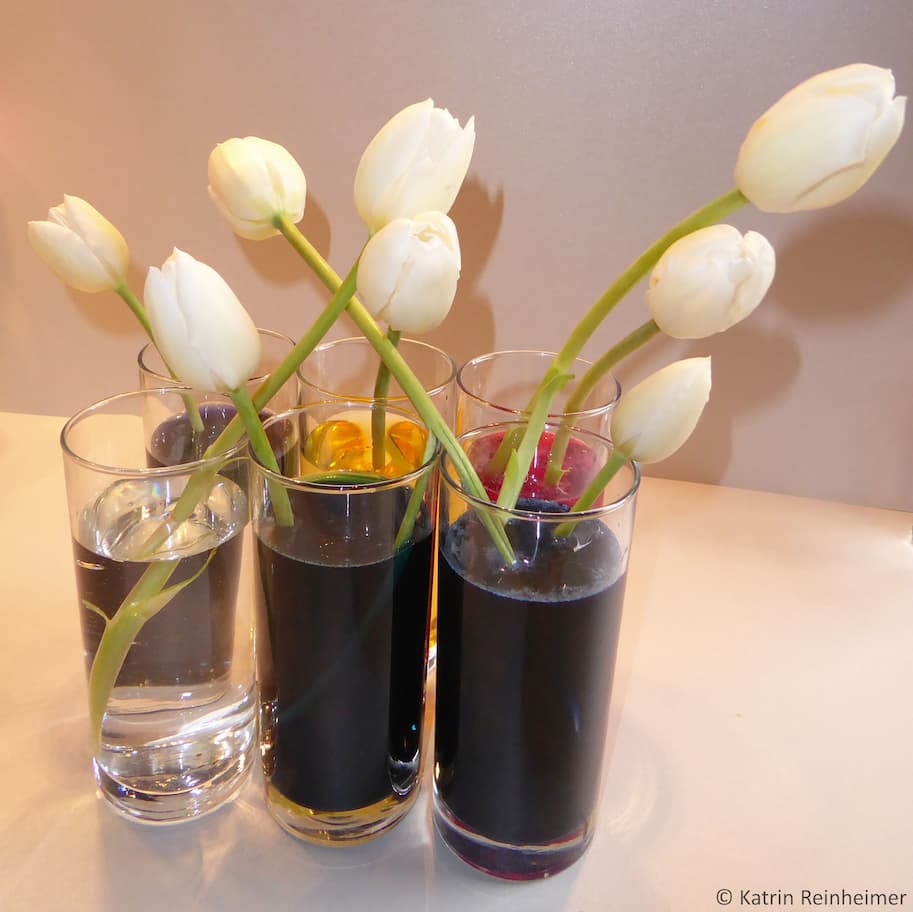 Stell in jedes Glas eine Tulpe.