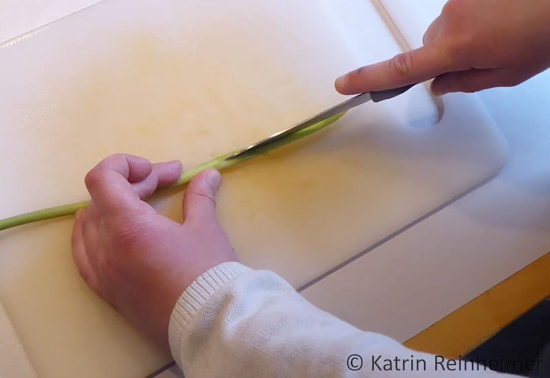 Schneide den Stängel einer Tulpe mit einem Messer ein.