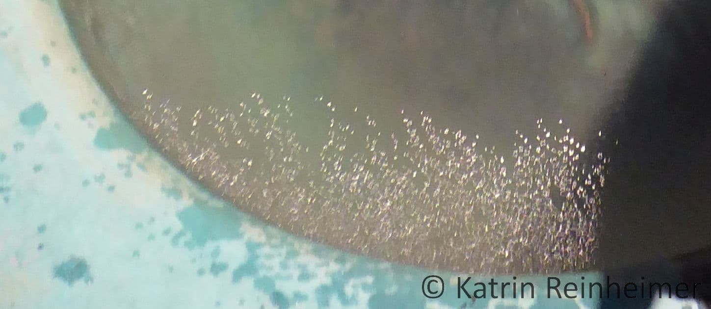 An den Rändern springt das Wasser. Das ist bei großen Klangschalen besonders gut zu erkennen. An den Rändern springt das Wasser. Das ist bei großen Klangschalen besonders gut zu erkennen.